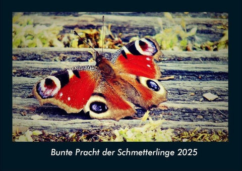 Bunte Pracht der Schmetterlinge 2025 Fotokalender DIN A4