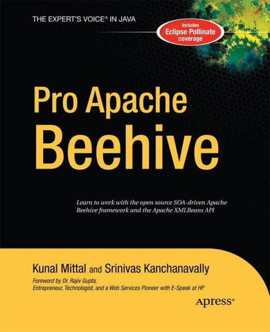 Pro Apache Beehive