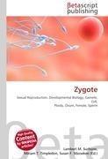 Zygote