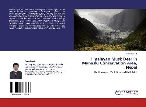 Himalayan Musk Deer in Manaslu Conservation Area, Nepal