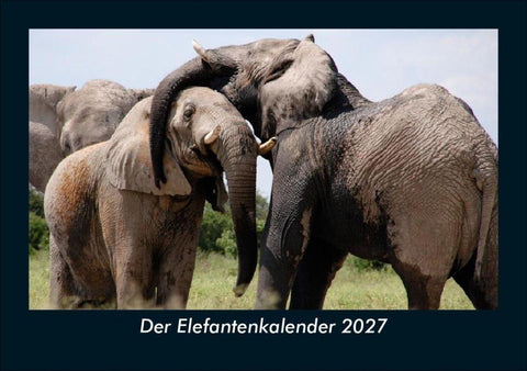 Der Elefantenkalender 2027 Fotokalender DIN A5