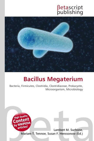 Bacillus Megaterium