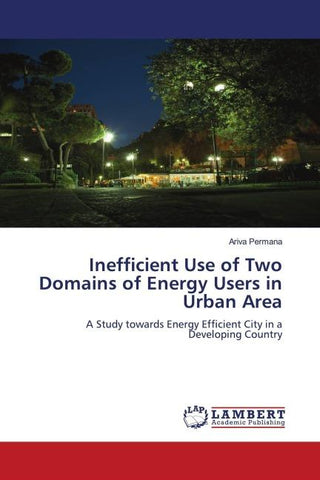 Inefficient Use of Two Domains of Energy Users in Urban Area