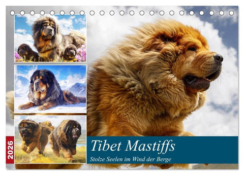 Tibet Mastiffs. Stolze Seelen im Wind der Berge (Tischkalender 2026 DIN A5 quer), CALVENDO Monatskalender