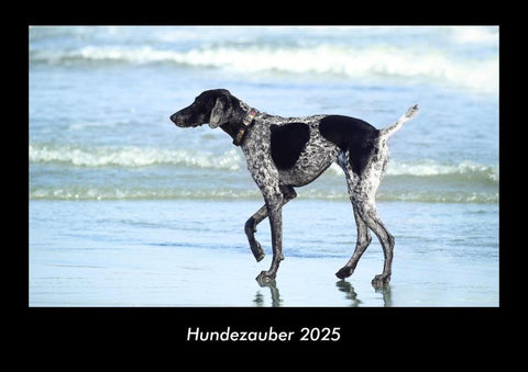 Hundezauber 2025 Fotokalender DIN A3