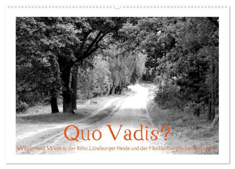 Quo Vadis? Wälder und Wege in der Röhn, Lüneburger Heide und der Mecklenburgischen Seenplatte (Wandkalender 2026 DIN A2 quer), CALVENDO Monatskalender