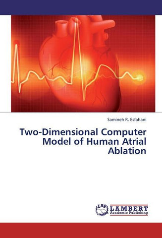 Two-Dimensional Computer Model of Human Atrial Ablation