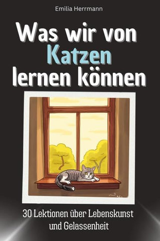 Was wir von Katzen lernen können