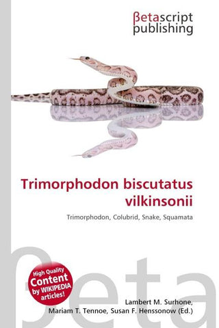 Trimorphodon biscutatus vilkinsonii