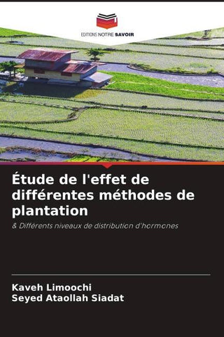 Étude de l'effet de différentes méthodes de plantation