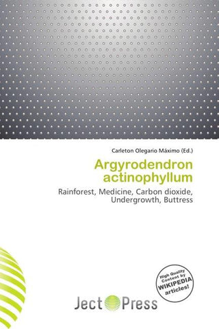 Argyrodendron actinophyllum