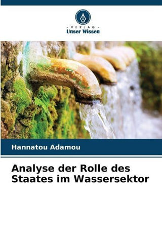 Analyse der Rolle des Staates im Wassersektor
