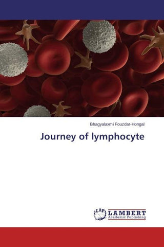 Journey of lymphocyte