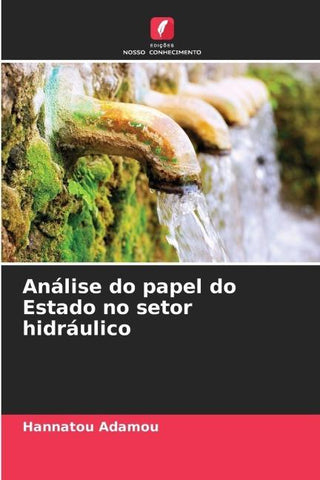 Análise do papel do Estado no setor hidráulico