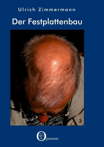 Der Festplattenbau