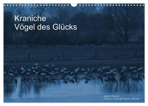Kraniche (Wandkalender 2026 DIN A3 quer), CALVENDO Monatskalender