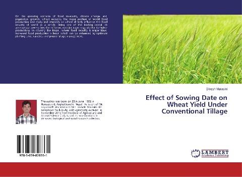 Effect of Sowing Date on Wheat Yield Under Conventional Tillage