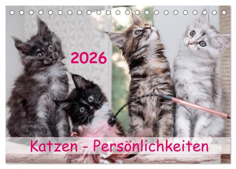 Katzen Persönlichkeiten 2026 (Tischkalender 2026 DIN A5 quer), CALVENDO Monatskalender