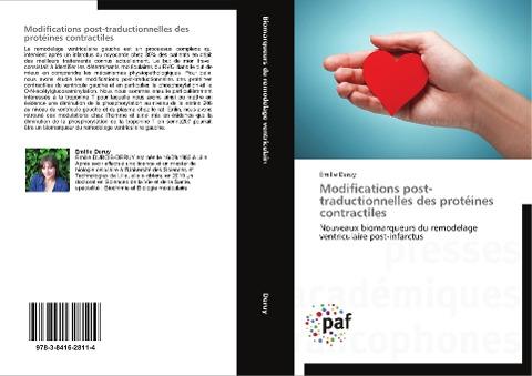 Modifications post-traductionnelles des protéines contractiles