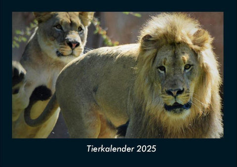 Tierkalender 2025 Fotokalender DIN A4