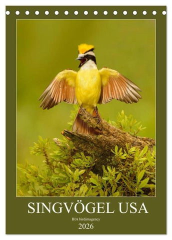 Singvögel USA (Tischkalender 2026 DIN A5 hoch), CALVENDO Monatskalender