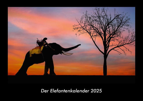 Der Elefantenkalender 2025 Fotokalender DIN A3