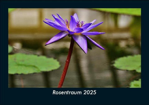 Rosentraum 2025 Fotokalender DIN A5