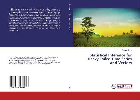 Statistical Inference for Heavy Tailed Time Series and Vectors