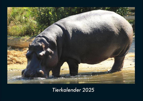 Tierkalender 2025 Fotokalender DIN A4