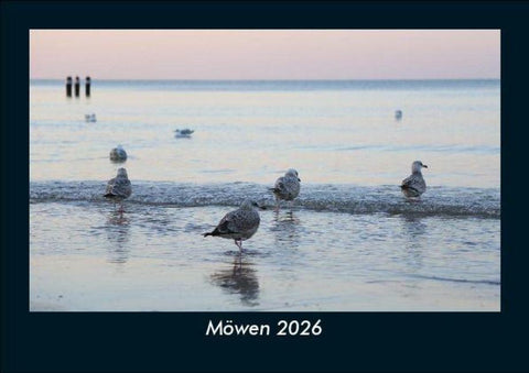 Möwen 2026 Fotokalender DIN A5