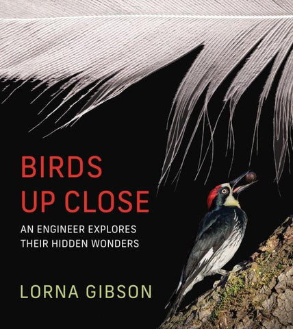 Birds Up Close