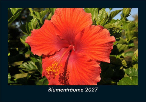 Blumenträume 2027 Fotokalender DIN A5