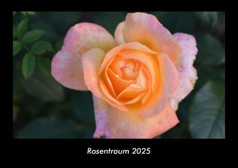 Rosentraum 2025 Fotokalender DIN A3
