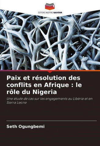 Paix et résolution des conflits en Afrique : le rôle du Nigeria
