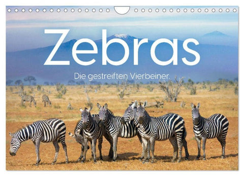 Zebras - Die gestreiften Vierbeiner. (Wandkalender 2026 DIN A4 quer), CALVENDO Monatskalender