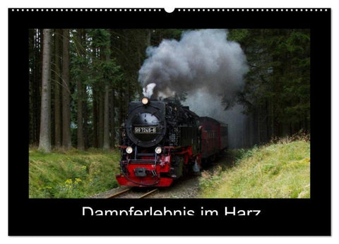 Dampferlebnis im Harz (Wandkalender 2026 DIN A2 quer), CALVENDO Monatskalender