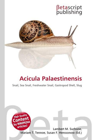Acicula Palaestinensis