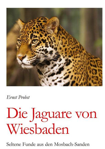 Die Jaguare von Wiesbaden