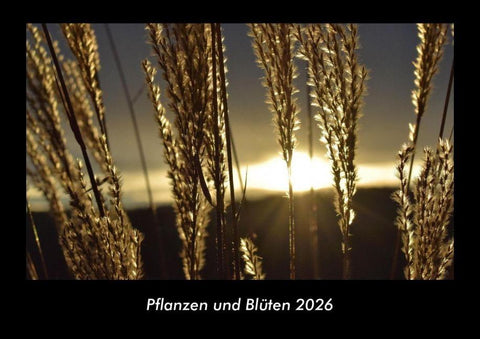 Pflanzen und Blüten 2026 Fotokalender DIN A3