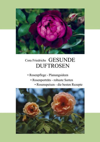 Gesunde Duftrosen