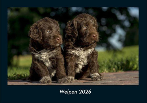 Welpen 2026 Fotokalender DIN A4