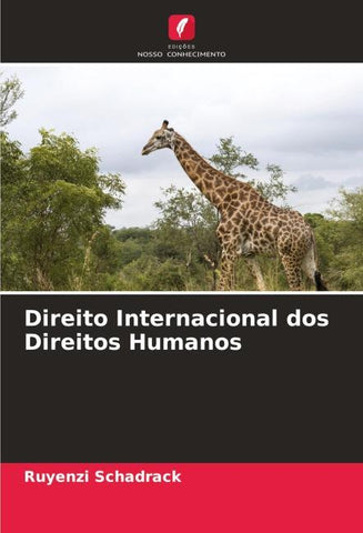 Direito Internacional dos Direitos Humanos