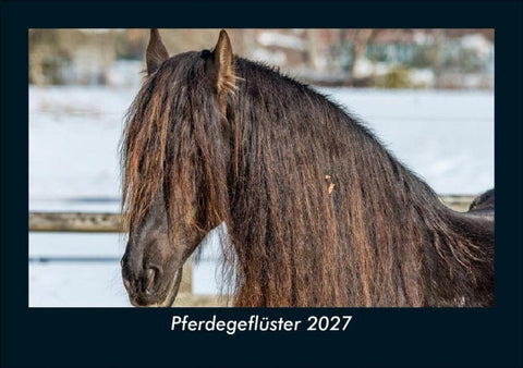Pferdegeflüster 2027 Fotokalender DIN A5