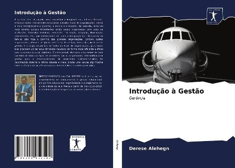 Introdução à Gestão