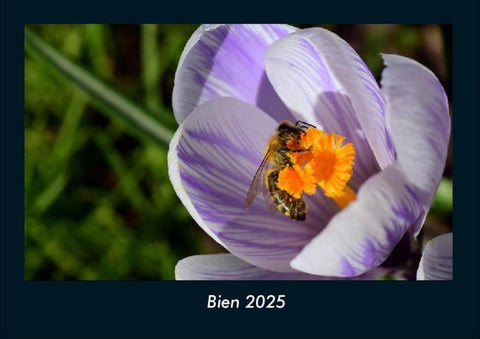 Bien 2025 Fotokalender DIN A4