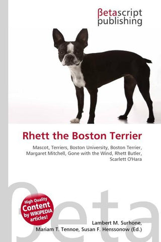 Rhett the Boston Terrier