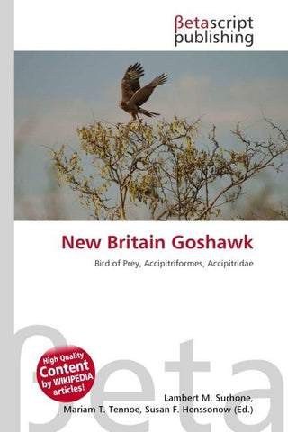 New Britain Goshawk