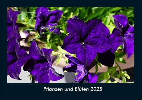 Pflanzen und Blüten 2025 Fotokalender DIN A4