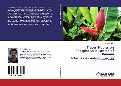 Tracer Studies on Phosphorus Nutrition of Banana