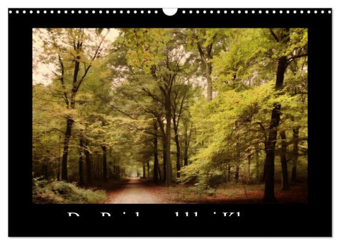 Der Reichswald bei Kleve (Wandkalender 2026 DIN A3 quer), CALVENDO Monatskalender